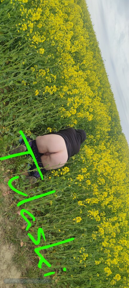 IMG_20230506_142300.jpg.tmp.jpg - Tulaski