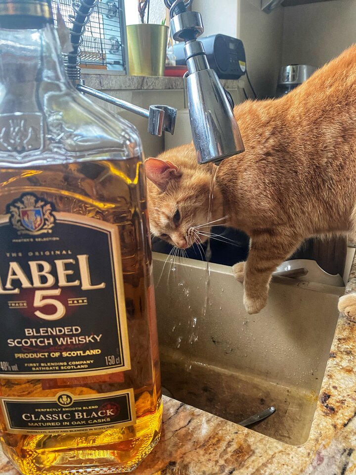 IMG_0837.jpeg - serialowapara19782