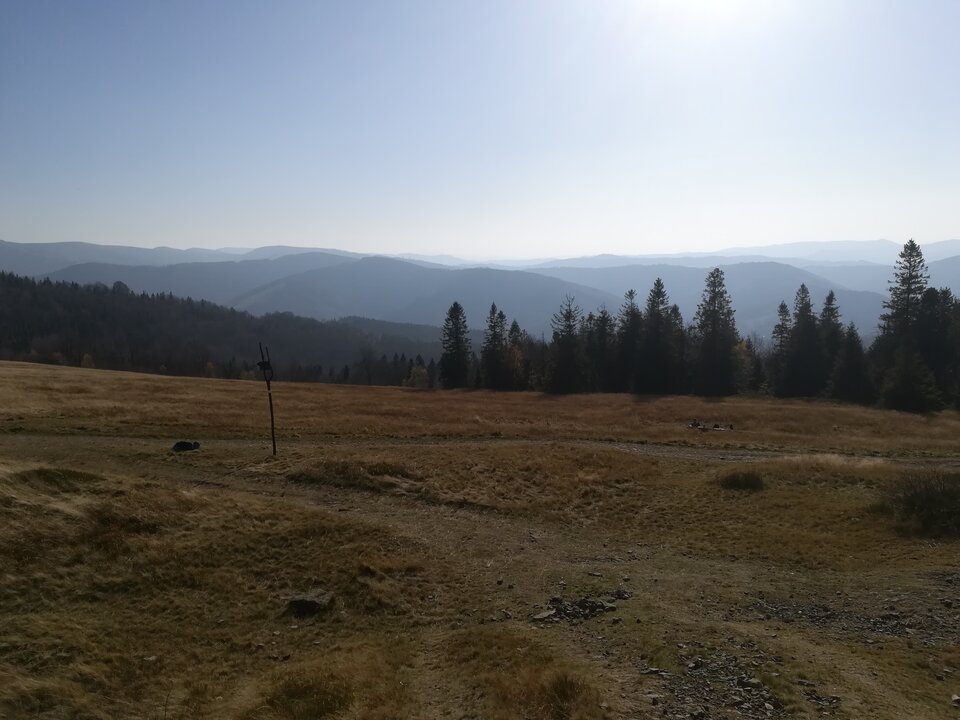 IMG_20191026_133743.jpg - Zapytaj74