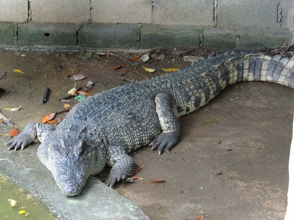 DSC00903 (1).JPG - Lone_Ride