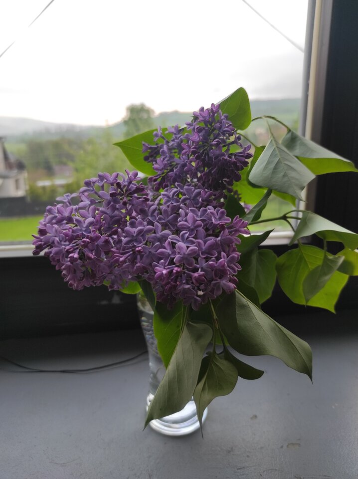 IMG_20230519_184908.jpg - Mr84