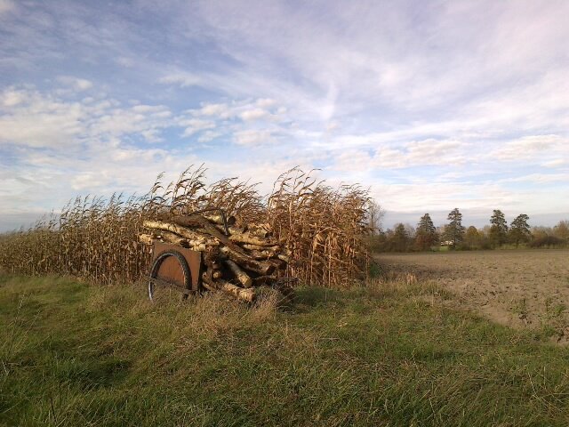 28102013132.jpg - Argument73