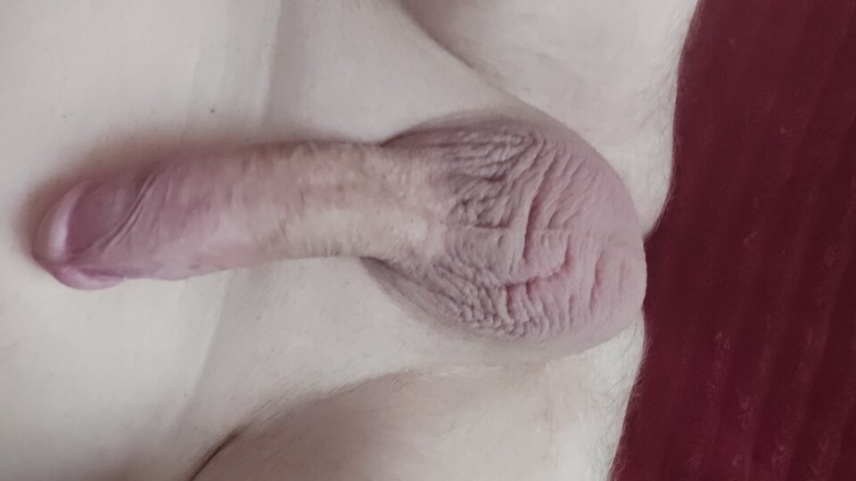 16845884182304090597541936070151.jpg - Max791Ruda