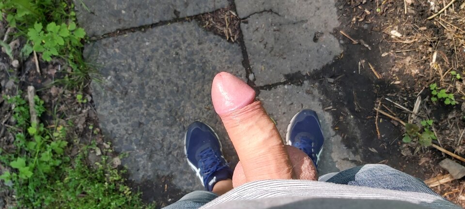 1684589669230769310366441424161.jpg - Max791Ruda