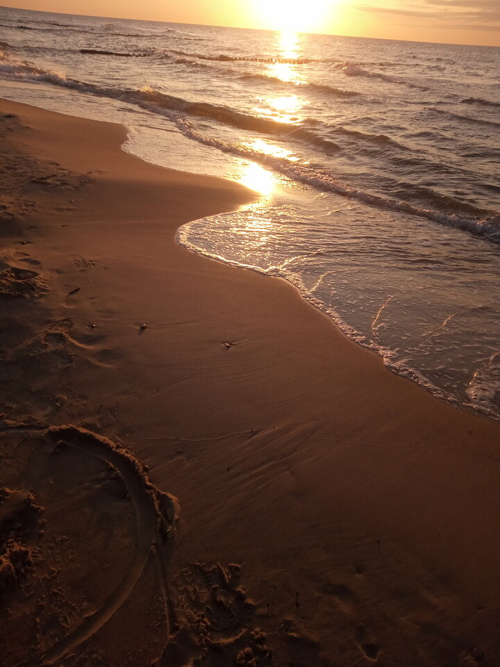 IMG_20230519_202652_681.jpg - Strzelec123