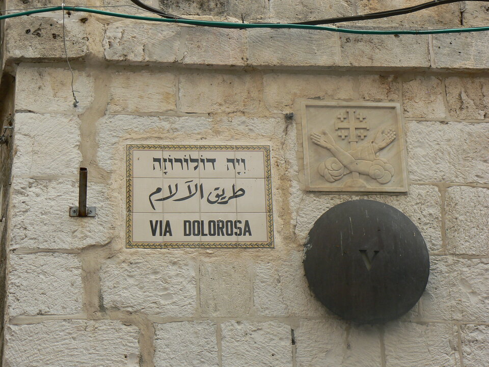 P1050587.JPG - Lone_Ride