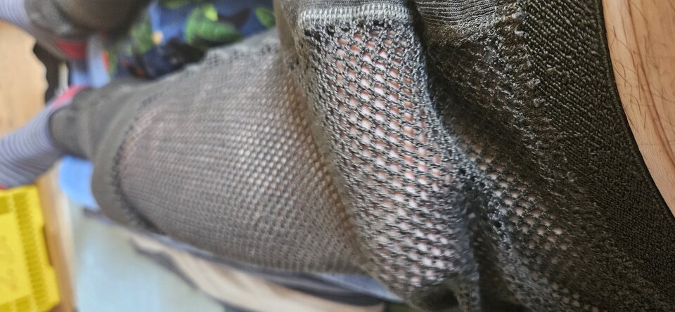 20230517_124006.jpg - adam1508