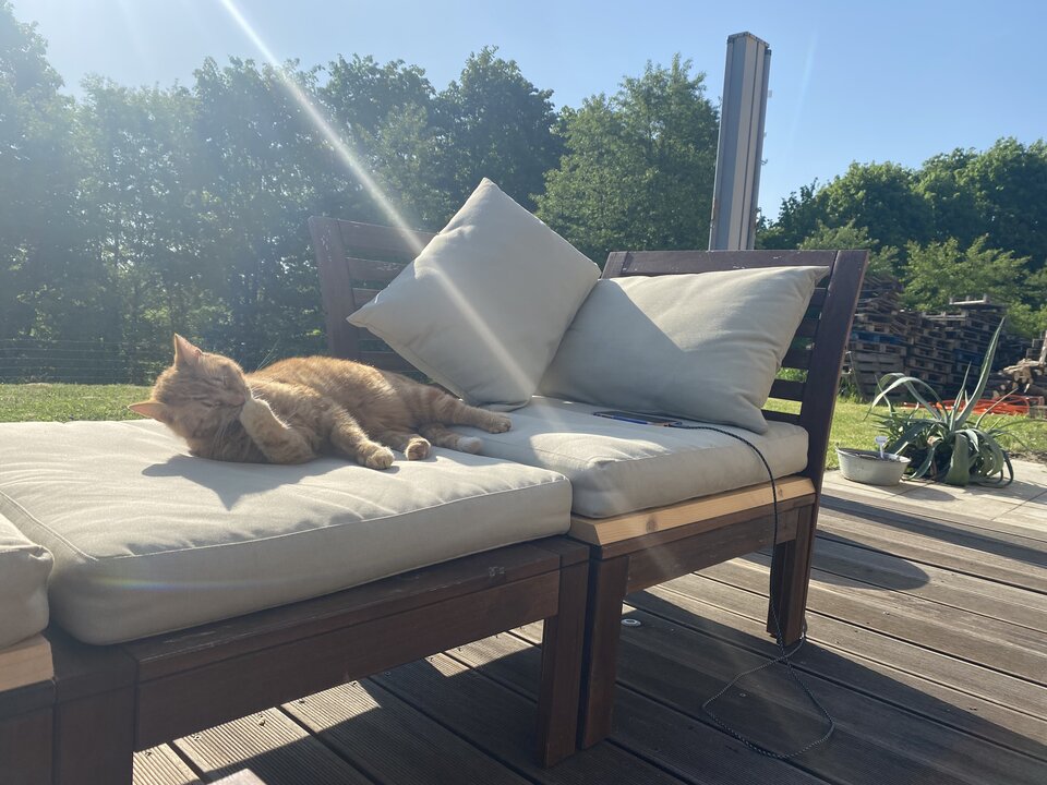 IMG_0877.jpeg - serialowapara19782