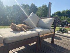 IMG_0877.jpeg