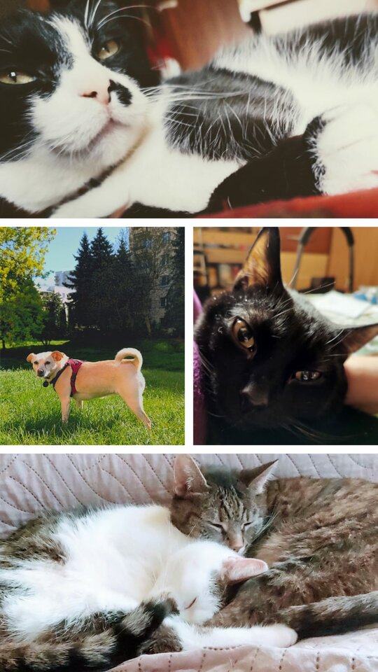 IMG-20230521-WA0002.jpg - RogaciOtwarci