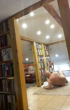 2023-05-21 10.41.50.jpg