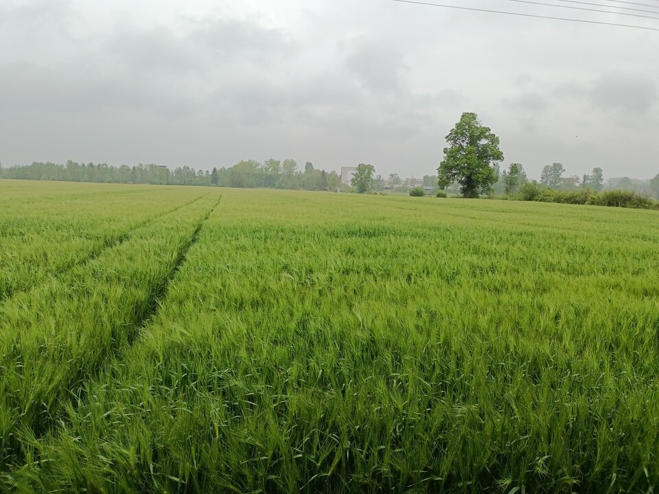 IMG20230515144806.jpg - hypns