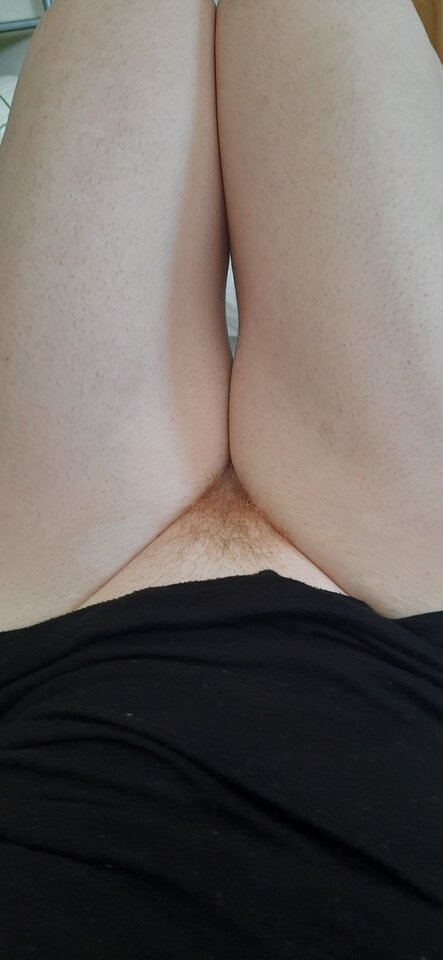 16846850542713560420763185274356.jpg - Palciusia