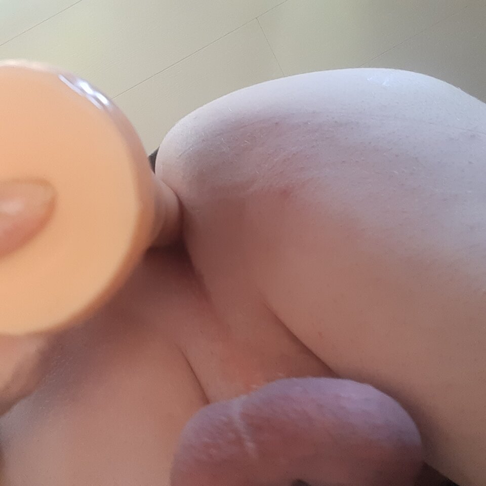 16846864168736670361011802524769.jpg - Palciusia