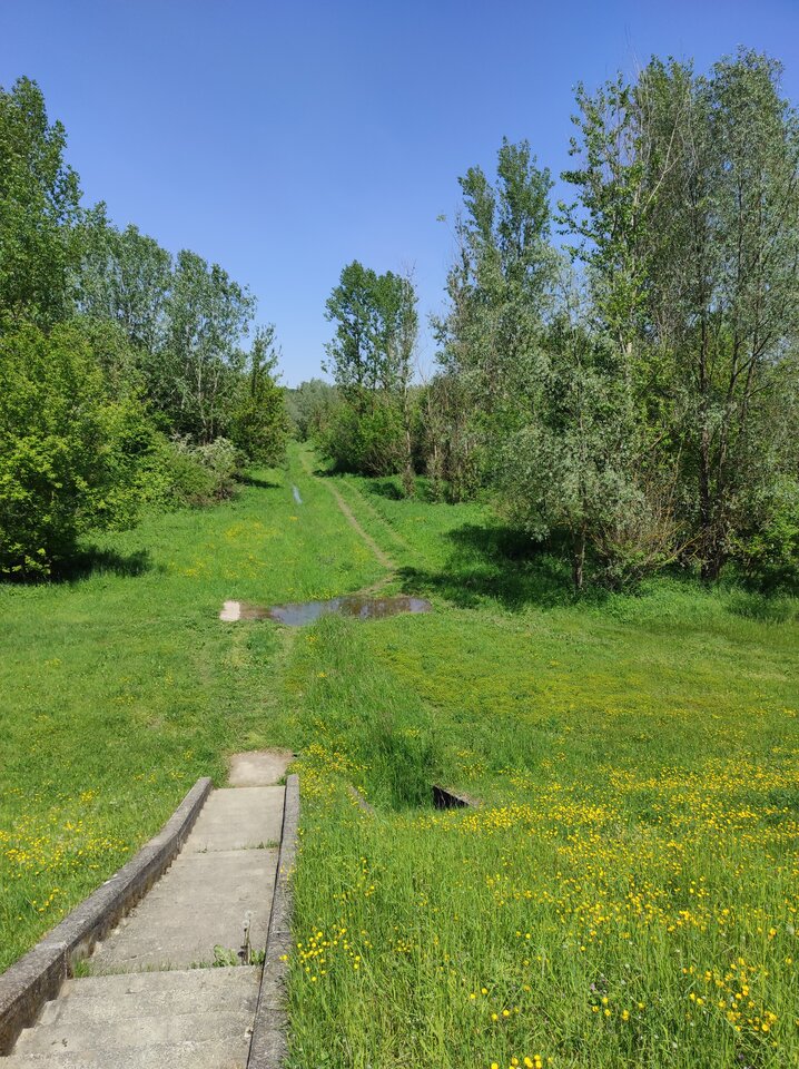 KD 20230521 - ParaKatharsis