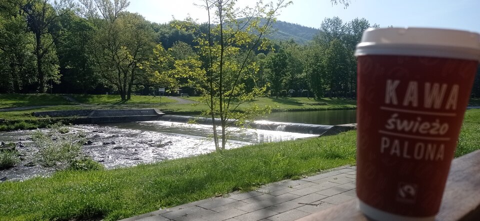 IMG_20230522_083205.jpg - jastrzebie87