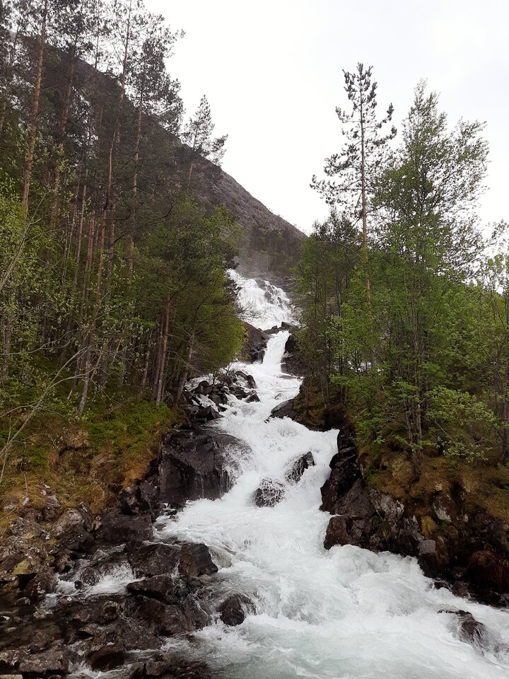 20230517_084004_01.jpg - Palciusia