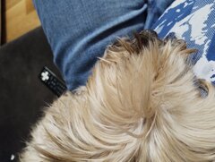 IMG_20230206_221207263.jpg