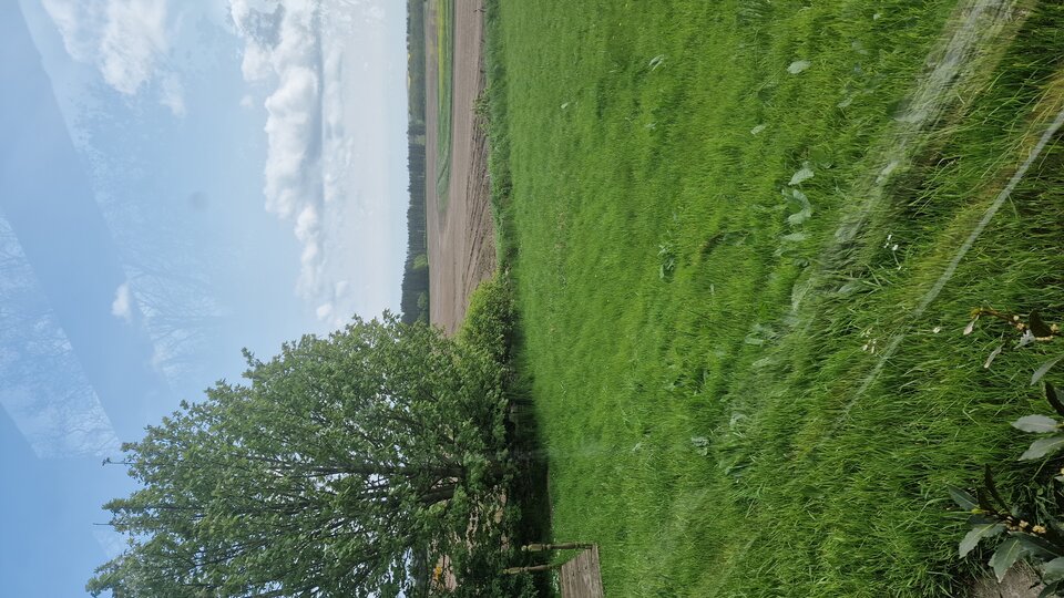 16847633299591628790040253509691.jpg - lee198