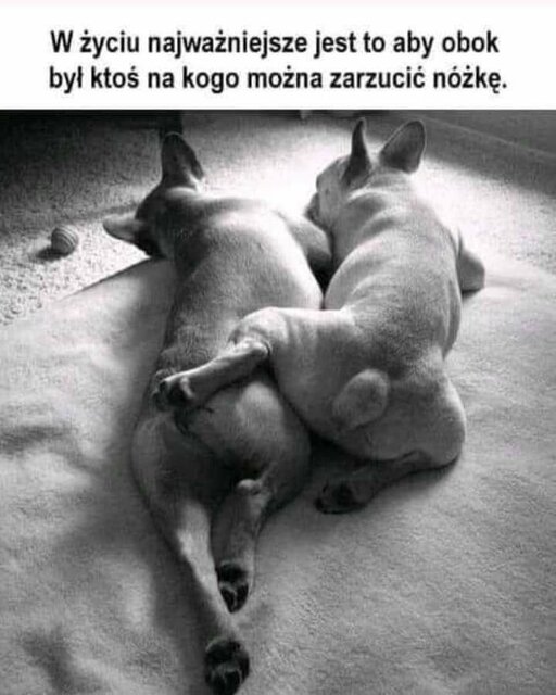 B351058E-6C9A-42D3-8D6D-F68A0CEE66DA.jpeg - Zadbany_on_