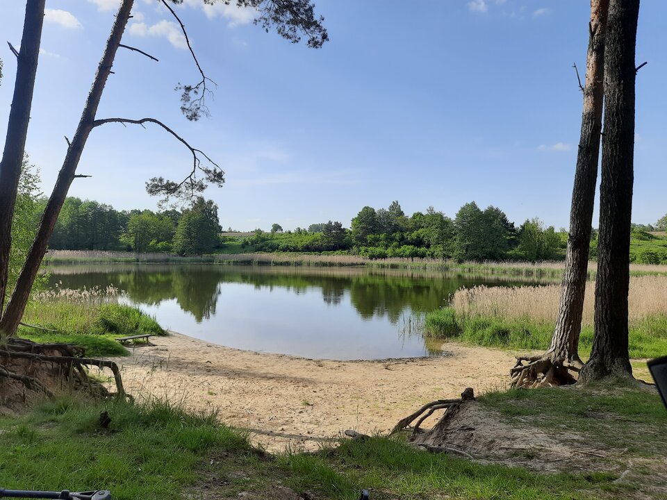 16847691105497239281630660867645.jpg - rozpalony300