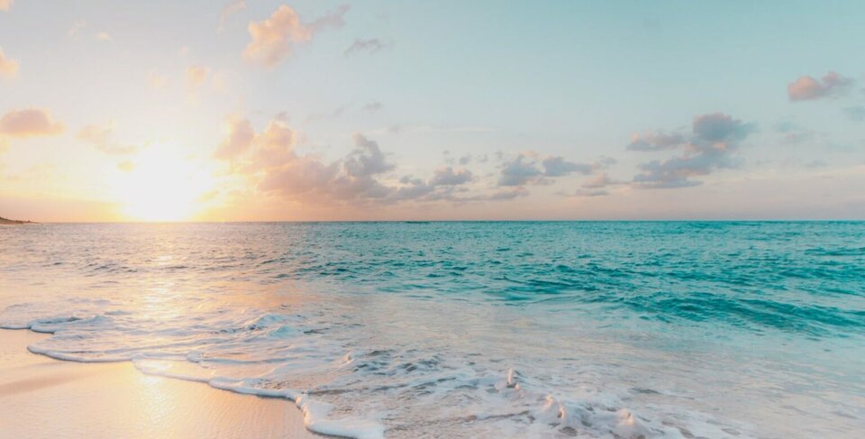 plazscaled-e1584449435902-1536x779.jpg - Naturystaaa