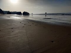 IMG_20230310_080734.jpg