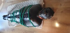20230522_115020.jpg