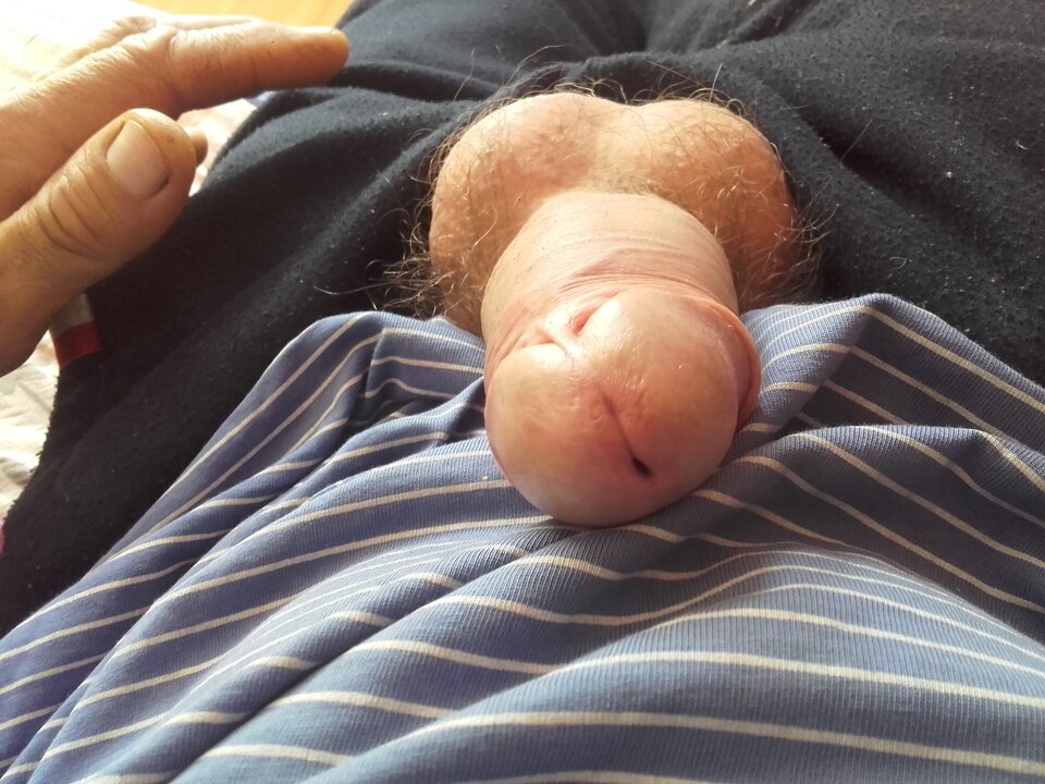 1684822343736373424463.jpg - pawelpawel50