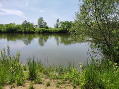 Dunajec - przed mostem kolejowym