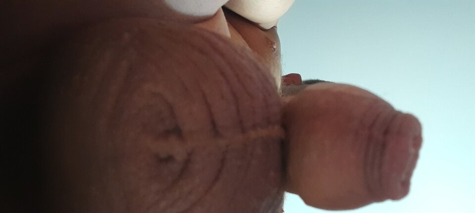 16848322364581029878060710836620.jpg - robercu