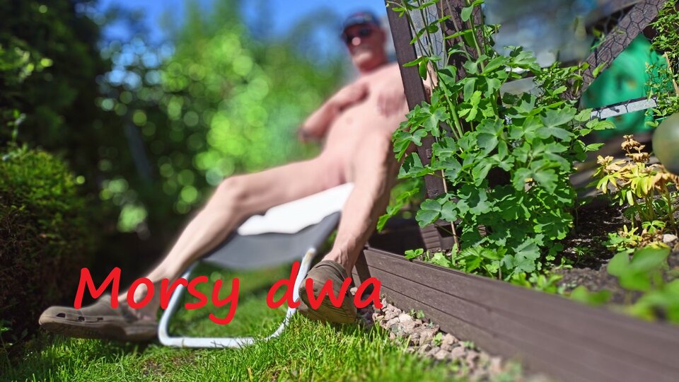 W słoneczku. - Morsy_dwa