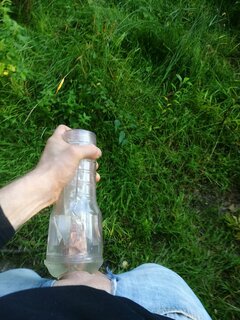 Plenerowe testowanie nowej zabawki... 🙂