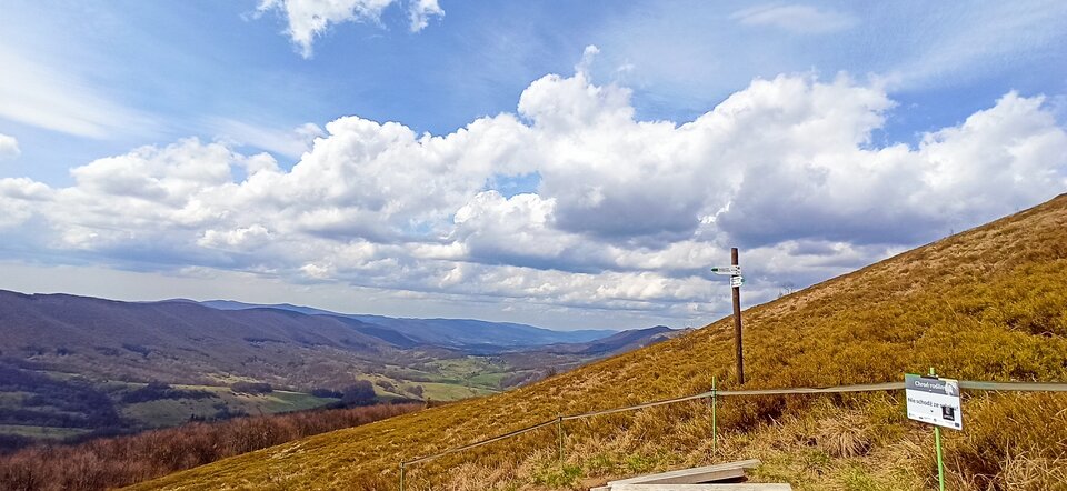 IMG_20230502_123812.jpg - Josephi