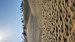 20220915_175829.jpg