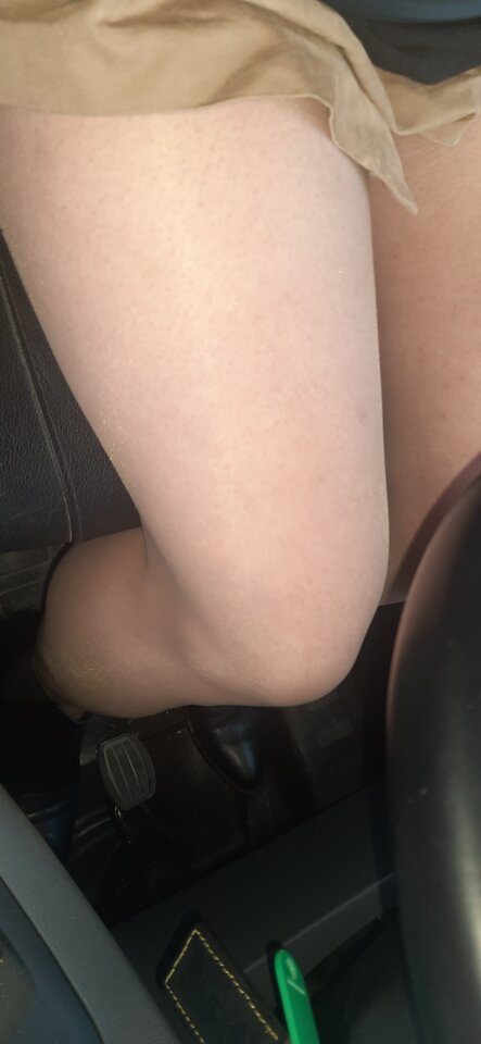 16849053316012562384122808843785.jpg - Palciusia