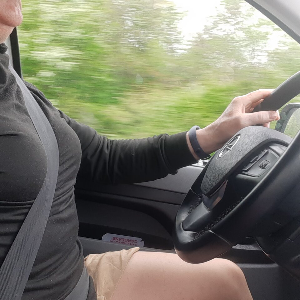 16849062476427684689315190586612.jpg - Palciusia