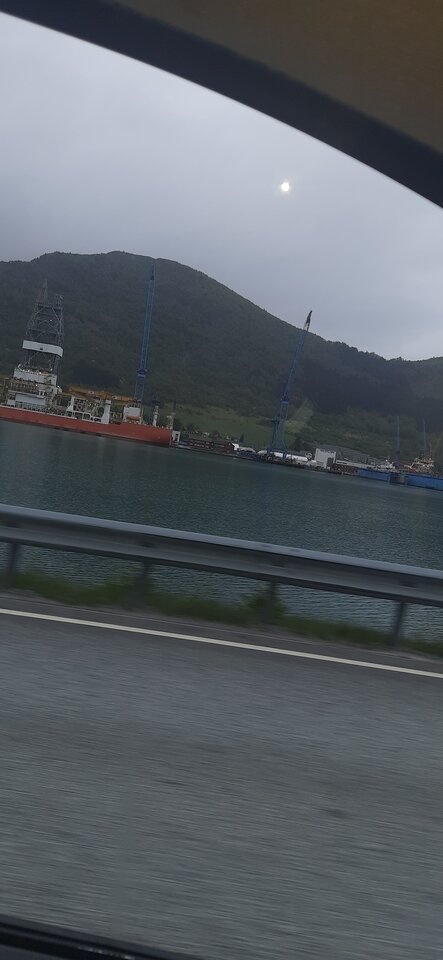 16849064877362021107515213491861.jpg - Palciusia