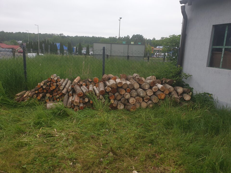 Drwienko 2 - agamich