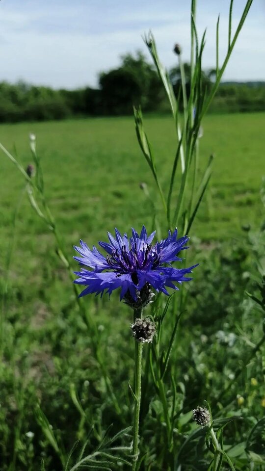 30524_161405.jpg - Nicci