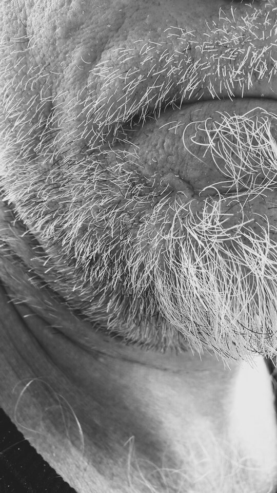 20230524_142958_2.jpg - Leu