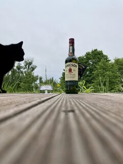 IMG_0958.jpeg