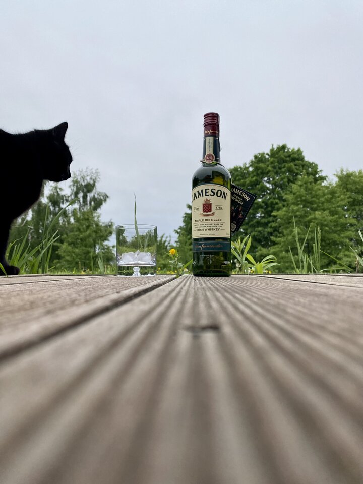 IMG_0958.jpeg - serialowapara19782