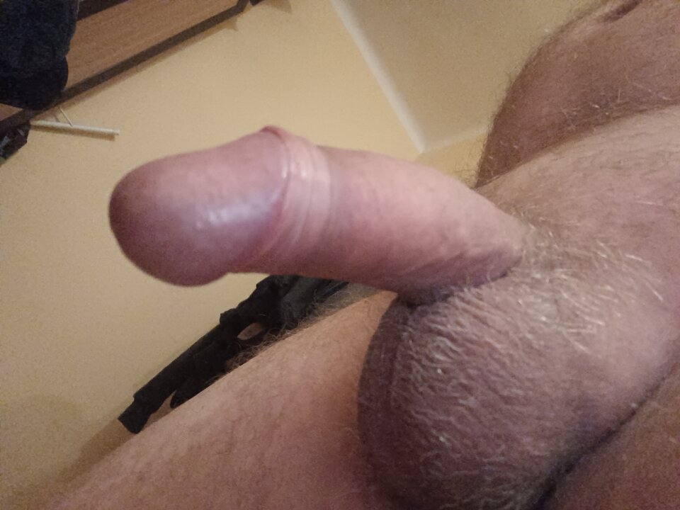 16849525981579191075990349308215.jpg - ardas1