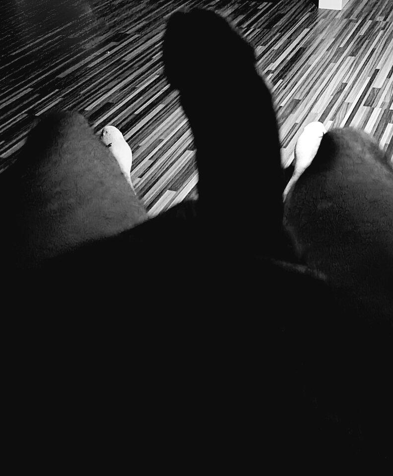 20230525_002001.jpg - TakiOto69