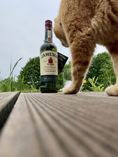 IMG_0953.jpeg