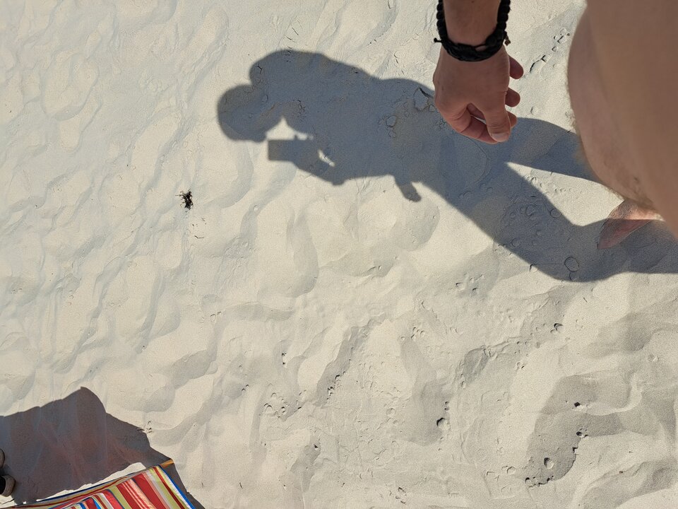 Grzybowo 2023 - ddarekkk