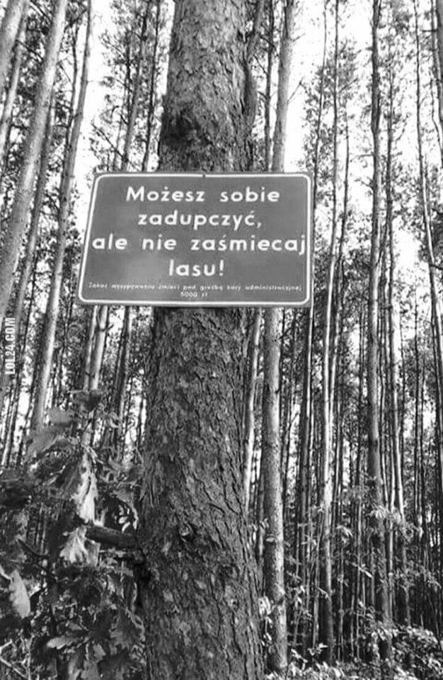 FB_IMG_1685014554253.jpg - Magdusia393939