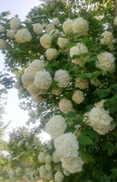 IMG_20230522_104322 (2).jpg