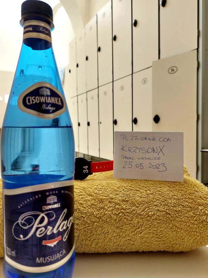 Pałac Wiechlice Sauna - krzysonx